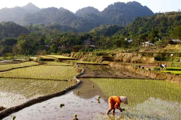 Nghia Lo - Vietnam