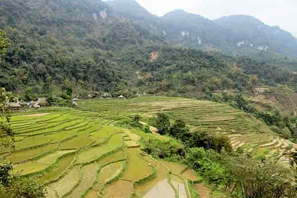 Ngoc Son Ngo Luong - Northern Vietnam