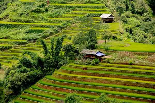 Mu Cang Chai - Northern Vietnam