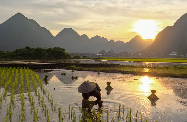 Bac Son/Nord Vietnam/Vietnamexploration - Jour 8 : Ban Gioc, Bac Son - Bac Son/Nord Vietnam/Vietnamexploration