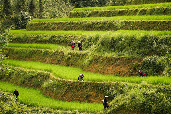 Bacha/Vietnamexploration - Jour 6 : Bac Ha, Hanoï - Bacha/Vietnamexploration