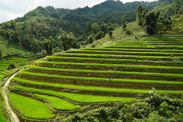 randonnée/Vietnamexploration - Jour 3 : Nam An, Na Chi - randonnée/Vietnamexploration