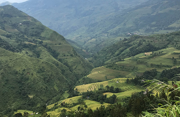 Bac ha/ Vietnam exploration