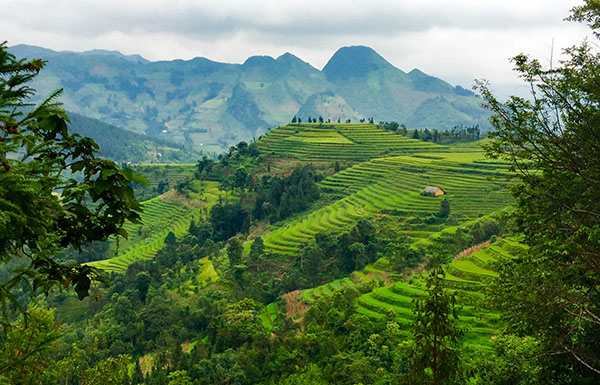 Bacha/Vietnamexploration - Jour 4 : Bac Ha - Bacha/Vietnamexploration