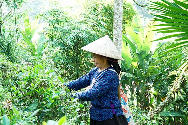 Séjour Vietnam/Vietnamexploration Séjour Vietnam/Vietnamexploration