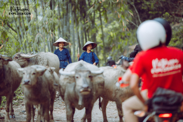 vallée de Bac son Vietnam à moto