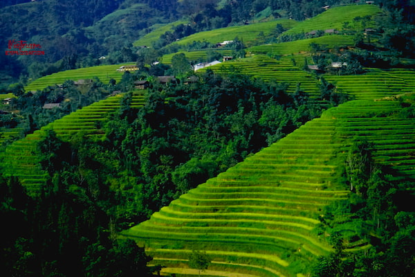 Hoang su phi/ Ha giang