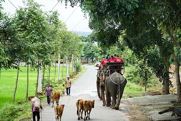 Road trip Vietnam/Hauts plateaux du centre vietnam