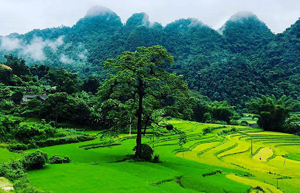 caobang/Vietnamexploration - Jour 5 : Bao Lac, Cao Bang - caobang/Vietnamexploration