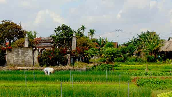  - Jour 9 : Hoi An, Tra Que, Hoi An - Circuit Vietnam - Village Tra Que