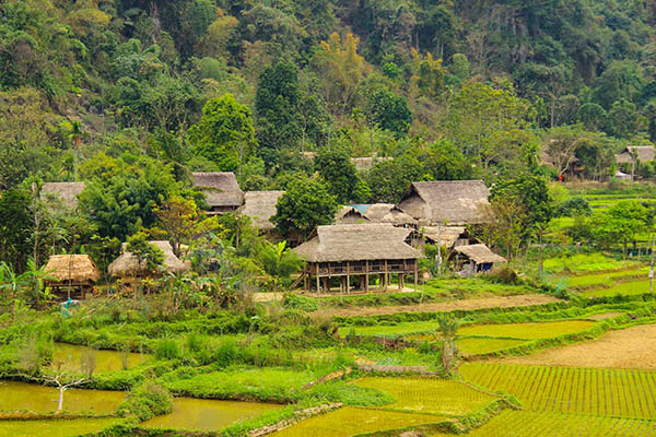 Séjour chez l'habitant au Vietnam