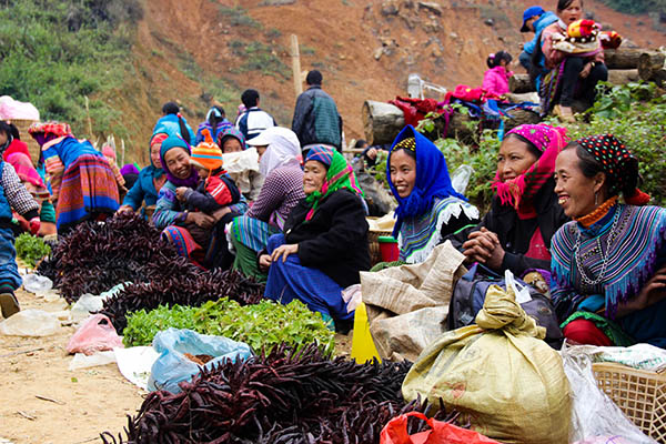 Bac ha/ Vietnam exploration