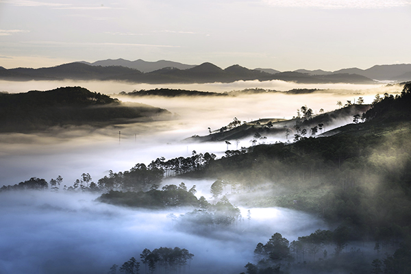 Da Lat/Voyage au Vietnam -  - Da Lat/Voyage au Vietnam