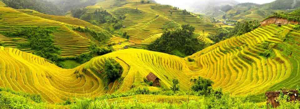  - Day 3: Lao Cai, Sapa - Discovery of Tonkin - Travel in Vietnam - Sapa