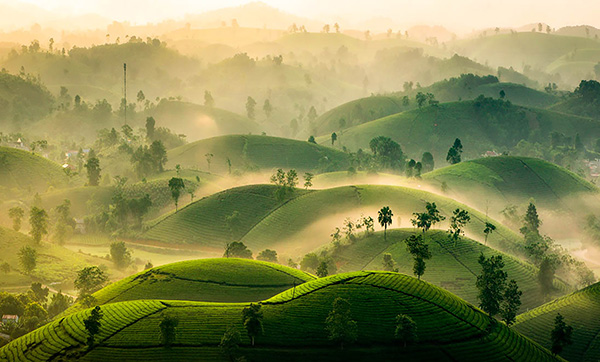 Destinations de rêve pour réussir votre Voyage Vietnam