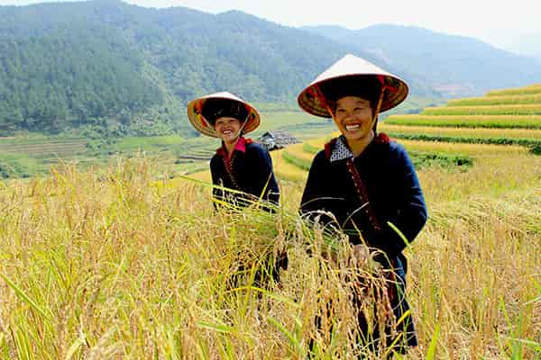  - Day 4: Nghia Lo, Mu Cang Chai, Than Uyen - Travel in Dien Bien Phu - Mu Cang Chai