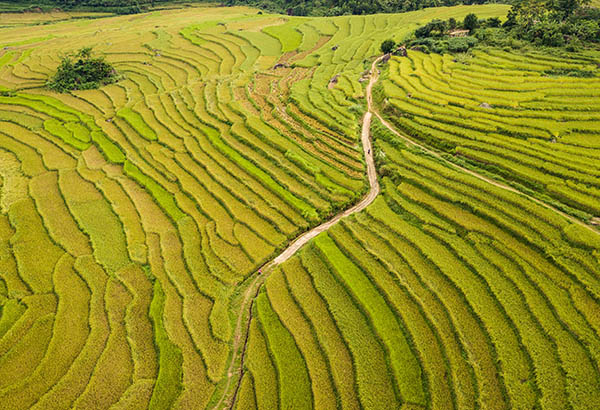 randonnée/Vietnamexploration - Jour 1 : Hanoï, Pu Luong - randonnée/Vietnamexploration