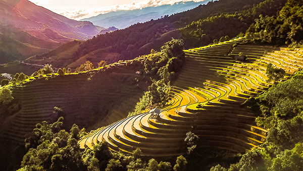 Voyage moto Vietnam/Vietnam Exploration/Mu cang chai Voyage moto Vietnam/Vietnam Exploration/Mu cang chai