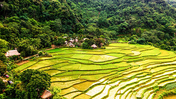 Voyage moto Vietnam/Vietnam Exploration/Puluong Voyage moto Vietnam/Vietnam Exploration/Puluong