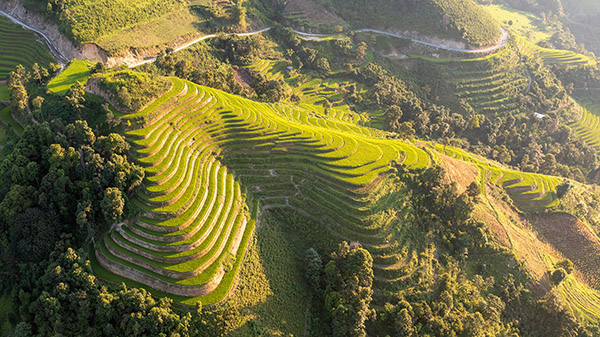 Ban Lien/Voyage Vietnam Ban Lien/Voyage Vietnam
