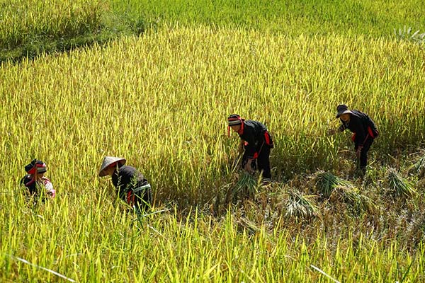 voyage moto à Dong Van/Vietnamexploration