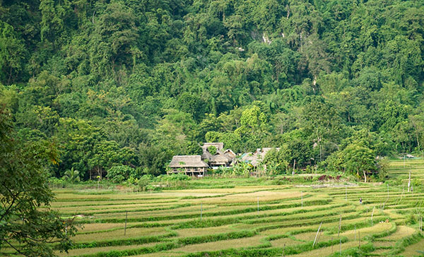 Voyage moto à Pu Luong