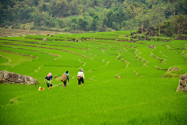 Road trip Vietnam/Mai Chau