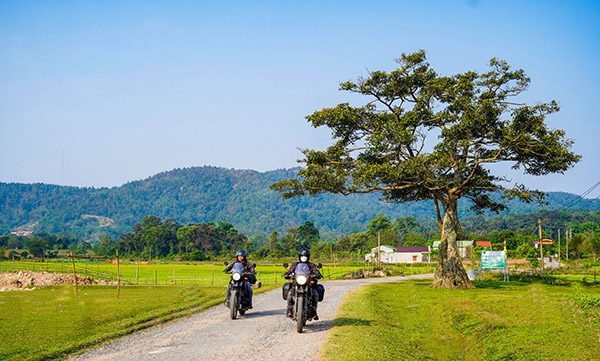 Piste de Ho Chi Minh