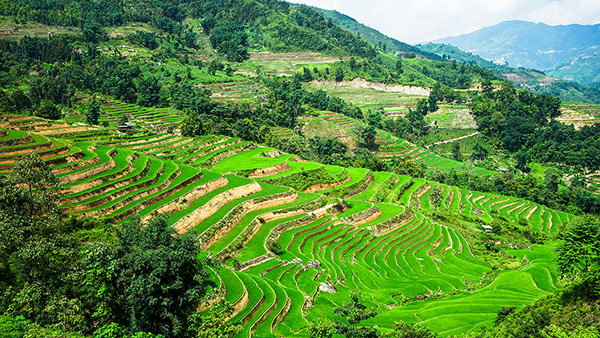 Ban Lien/Voyage Vietnam Ban Lien/Voyage Vietnam