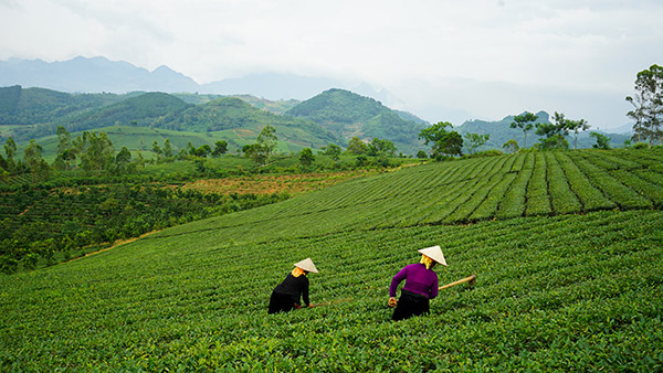 Voyage moto Vietnam/Vietnam Exploration Voyage moto Vietnam/Vietnam Exploration