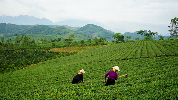 Voyage moto Vietnam/Vietnam Exploration