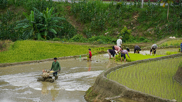 Voyage moto Vietnam/Vietnam Exploration/Col de Khau Pha Voyage moto Vietnam/Vietnam Exploration/Col de Khau Pha