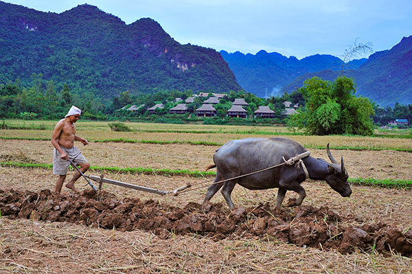 Maichau/Vietnamexploration - Jour 13 : Moc Chau, Pu Luong - Maichau/Vietnamexploration