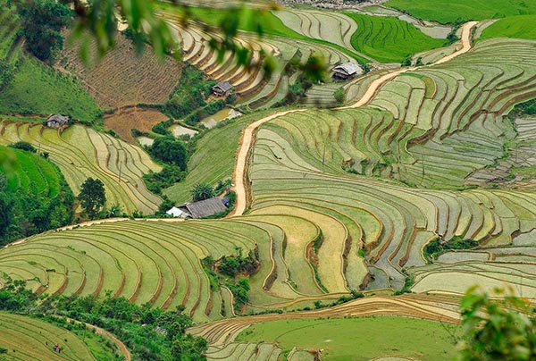 Mucangchai/Voyagemotovietnam - Jour 2 : Nghia Lo, Mu Cang Chai - Mucangchai/Voyagemotovietnam