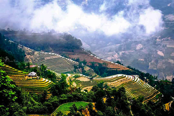 Road Trip Vietnam à Mu Cang Chai