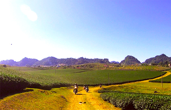 Voyage moto vietnam/ Moc chau -  - Voyage moto vietnam/ Moc chau