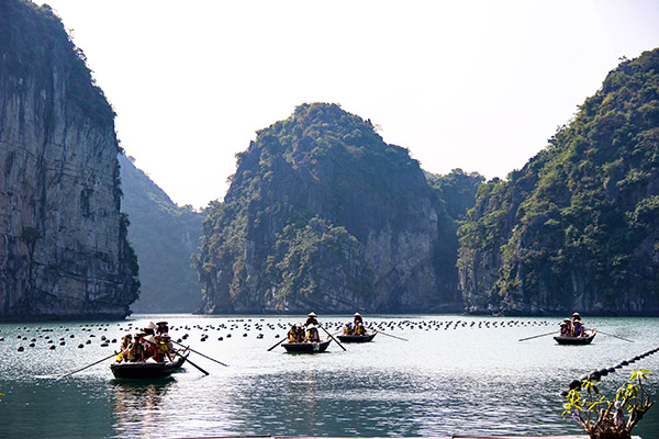 Halong/Vietnamexploration - Jour 8 : Halong, Ninh Binh - Halong/Vietnamexploration