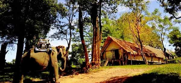  - Day 2: Buon Ma Thuot - Travel in Vietnam - Central highlands - Elephant garden