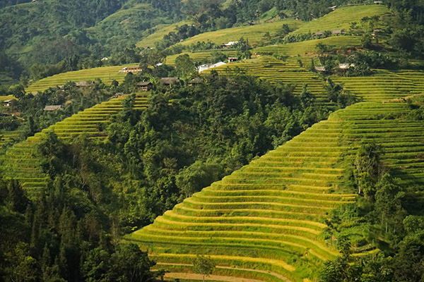 Voyage Moto à Hoang Su Phi