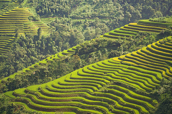 Thongnguyen/Vietnamexploration - Jour 7 : Thong Nguyen, Nam Dam - Thongnguyen/Vietnamexploration