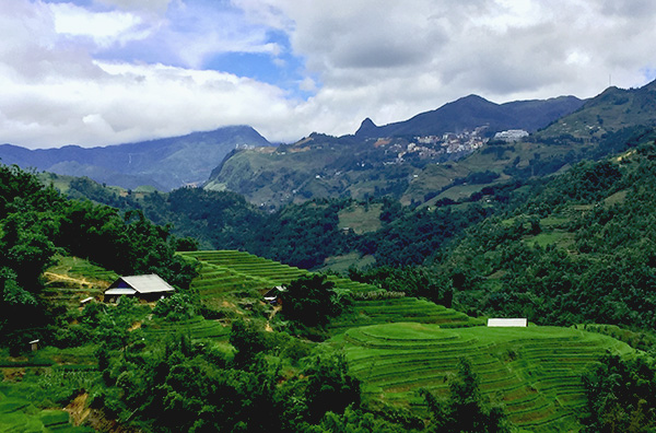 Sapa