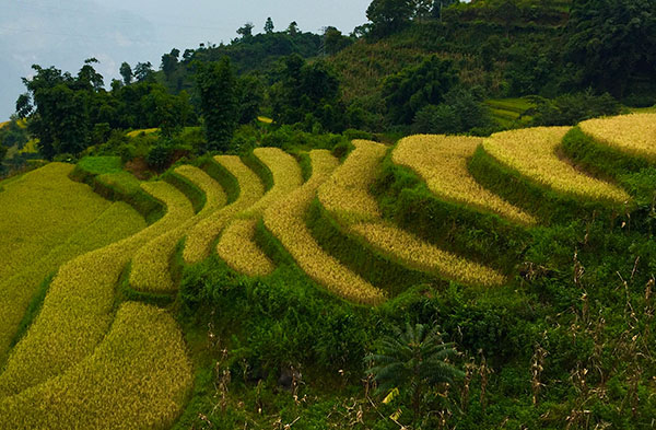 Road trip moto au Vietnam