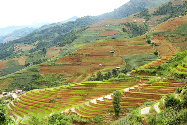 Mu cang chai et ses sublimes rizières en terrasse Mu cang chai et ses sublimes rizières en terrasse
