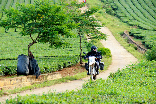 motonordvietnam - Jour 12 : Nghia Lo, Hanoï - voyagemotovietnam