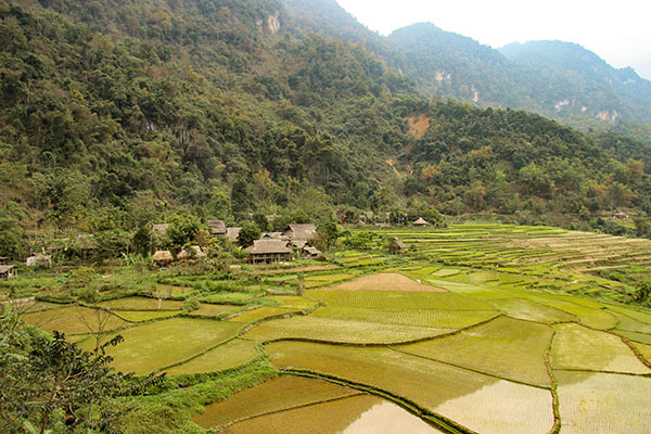 Road trip au Vietnam/Puluong Road trip au Vietnam/Puluong