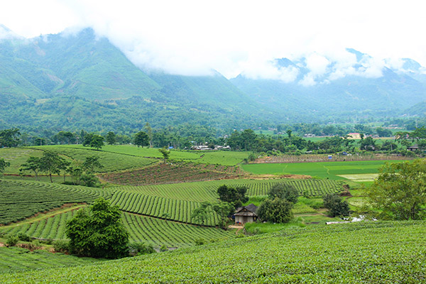 nghialo/Vietnamexploration Nghialo/Voyagemotovietnam/Vietnamexploration