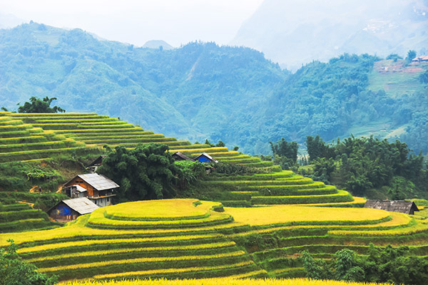 Sapa/Vietnamexploration - Jour 10 : Sapa, Mu Cang Chai - Sapa/Vietnamexploration