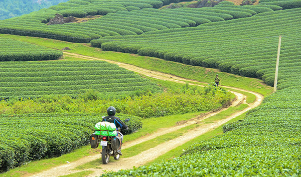 Voyage moto Vietnam/Vietnam Exploration