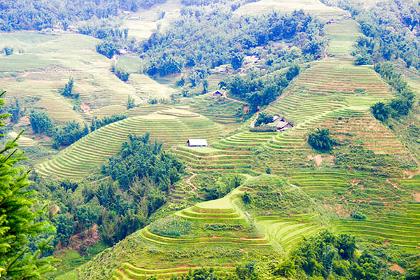 Road trip Vietnam/Sapa