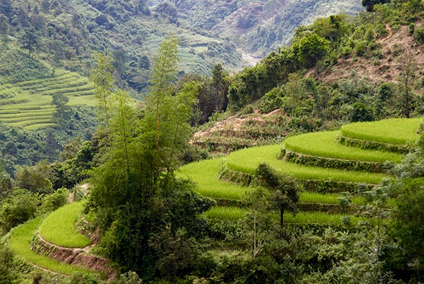 Bacha/Vietnamexploration - Jour 5 : Sapa, Bac Ha - Bacha/Vietnamexploration